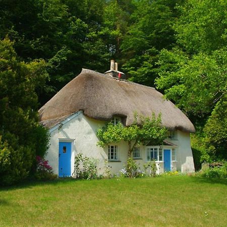 Lew Quarry Cottage Lewdown Esterno foto
