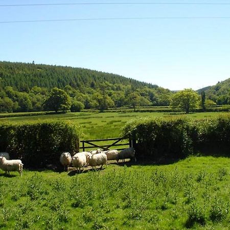 Lew Quarry Cottage Lewdown Esterno foto