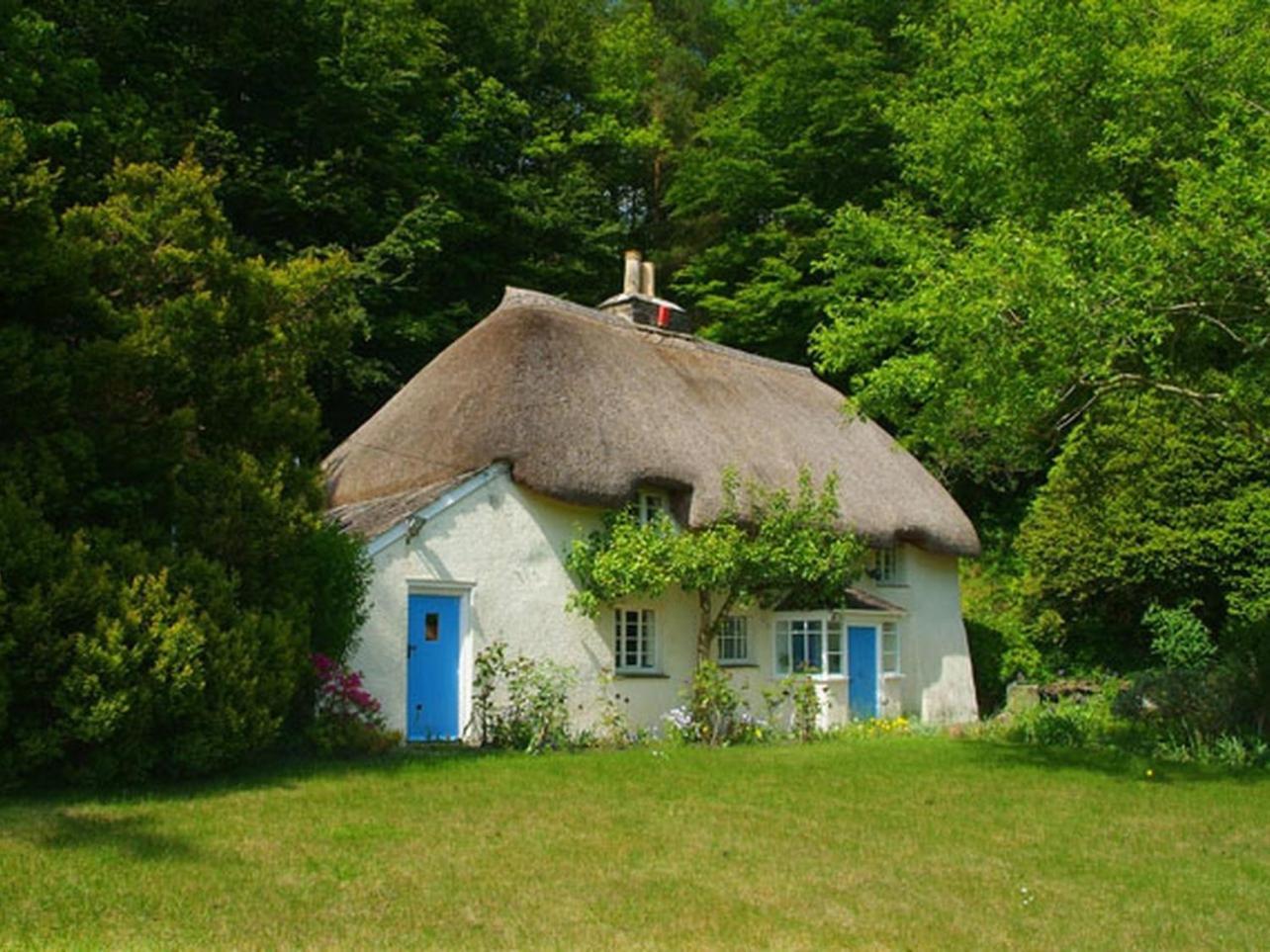 Lew Quarry Cottage Lewdown Esterno foto